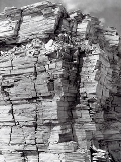 Albert Renger-Patzsch: „Solnhofer Plattenkalk“, veröffentlicht in: Gestein, 1966