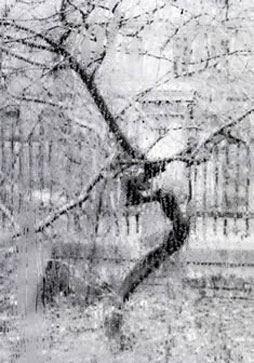 Josef Sudek: „Fenster meines Ateliers“, 1944