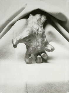 Eugène Druet: Rodin, verkrampfte Hand, um 1898