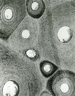 Carl Strüwe: „Weiß über Grau schwebend“ (Fischbein vom Wal), 1926