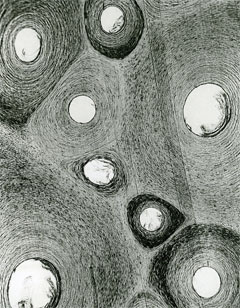 Carl Strüwe: „Weiß über Grau schwebend“ (Fischbein vom Wal), 1926